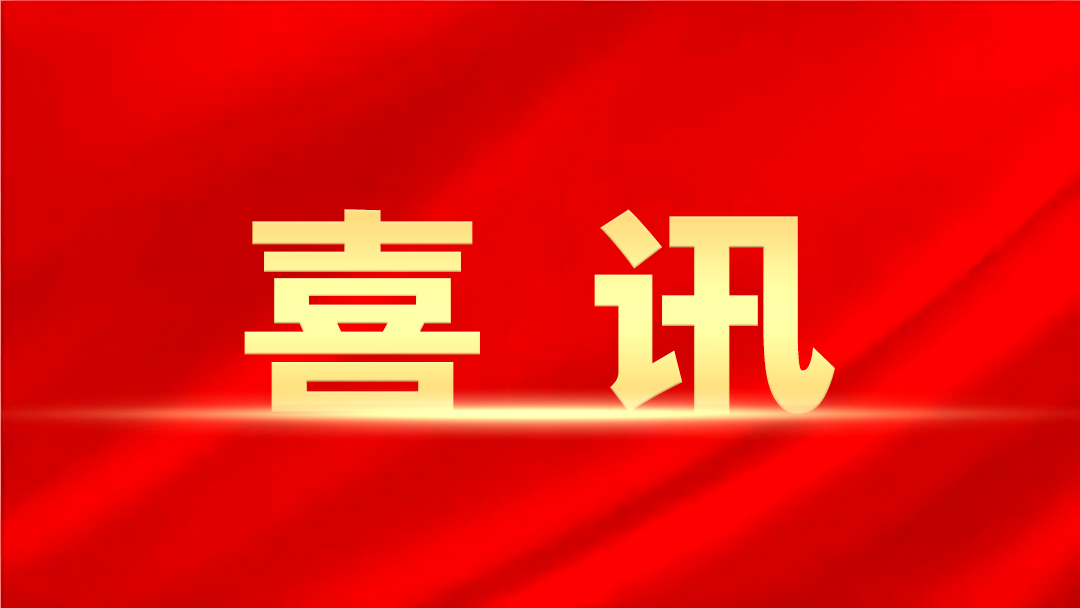 喜讯！弘波项目管理公司陈英会同志成功入选省级专家库，实力彰显行业担当